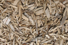 biomass boilers Regil