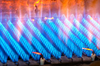 Regil gas fired boilers